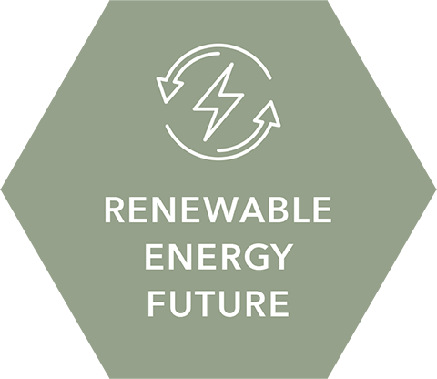 Renewable Energy Future